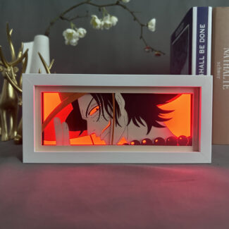 Ace One piece light